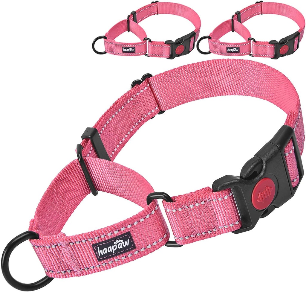 haapaw 2 Packs Martingale Dog Collar with Quick Release Buckle Reflective Dog Training Collars for Small Medium Large Dogs (L Neck 17"-21", Beige, 1+1 Packs) - Image 12