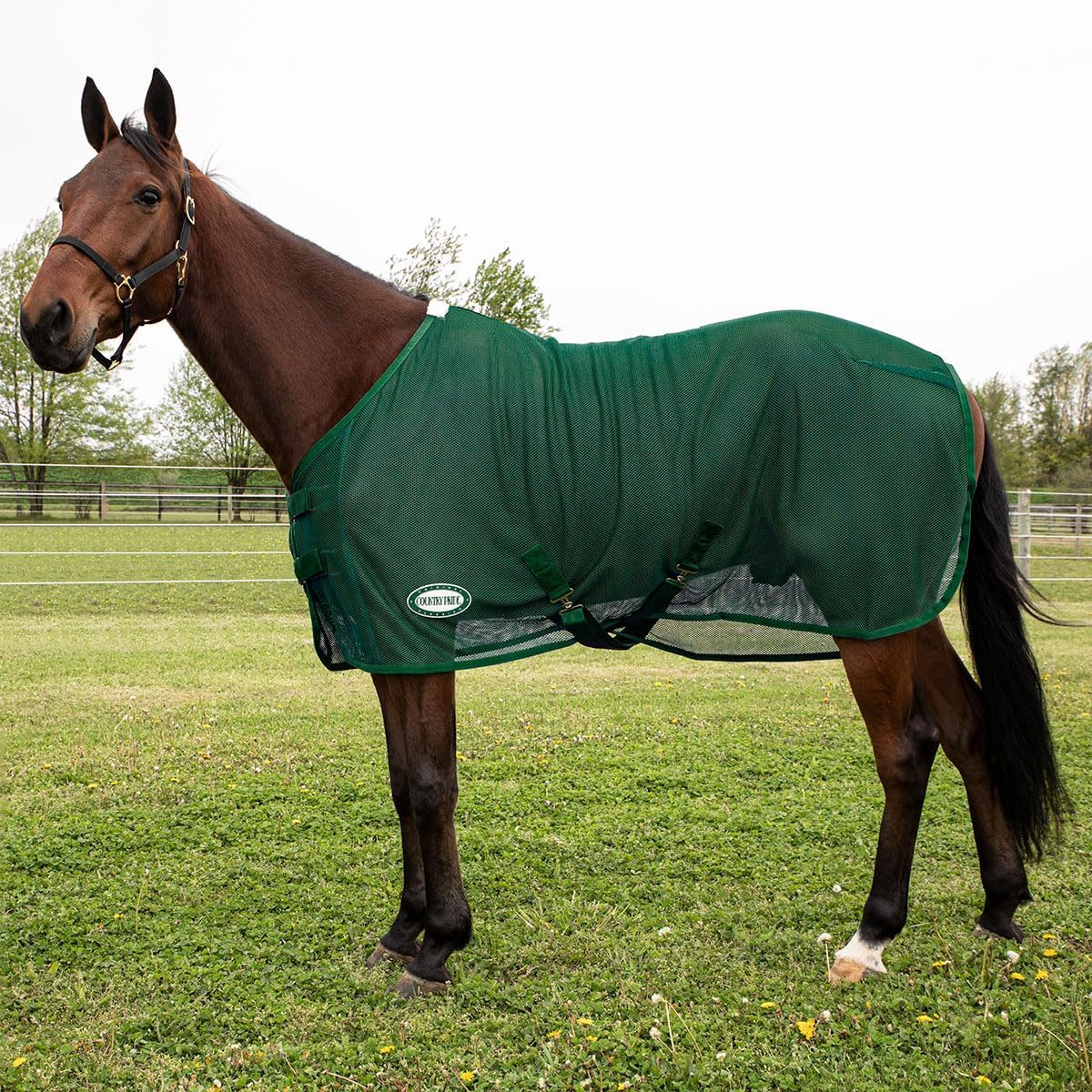 Country Pride equestrian lightweight fly protection scrim sheet packed and ready for trailer use.