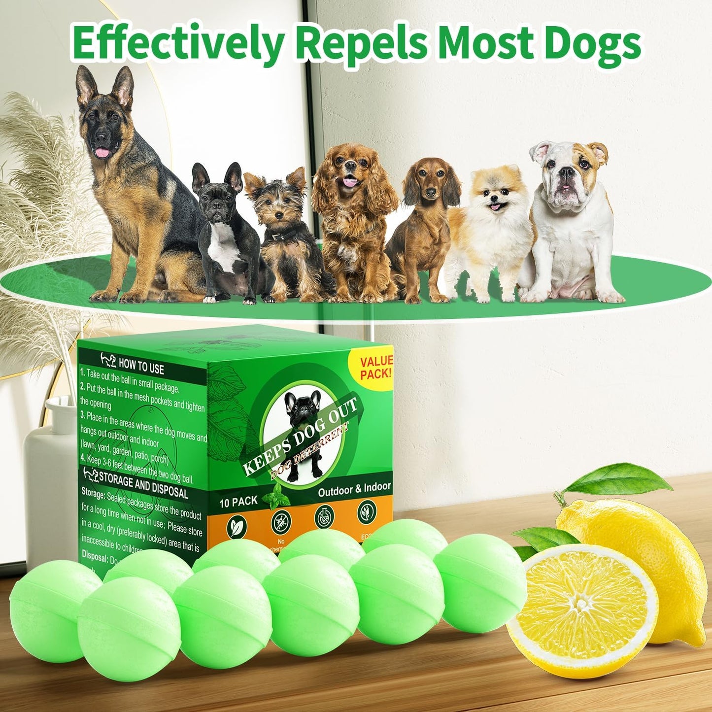 Gardening equipment for stopping dog digging