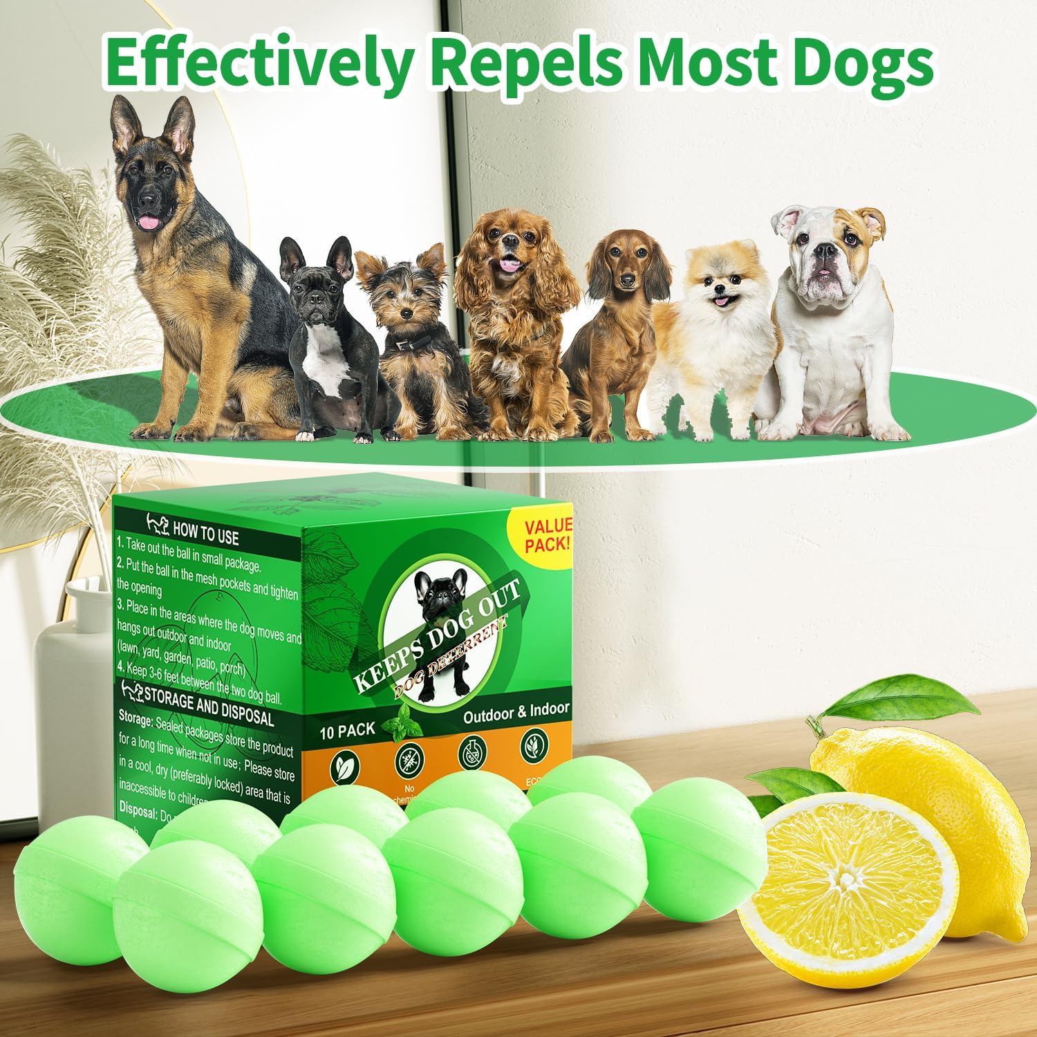Gardening equipment for stopping dog digging