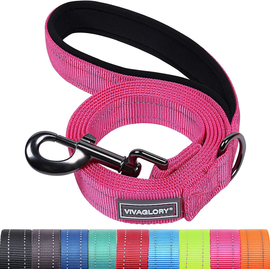 VIVAGLORY Dog Leash Dailyx Pet Leash with Soft Padded Handle for Training & Walking, Heavy Duty & Double Layer Nylon for Pet Puppy Collar, 3ft x 1in, Black - Image 14