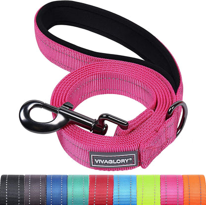VIVAGLORY Dog Leash Dailyx Pet Leash with Soft Padded Handle for Training & Walking, Heavy Duty & Double Layer Nylon for Pet Puppy Collar, 3ft x 1in, Black - Image 14
