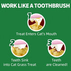 Just Try digestive support cat grass biscuits nutrition label