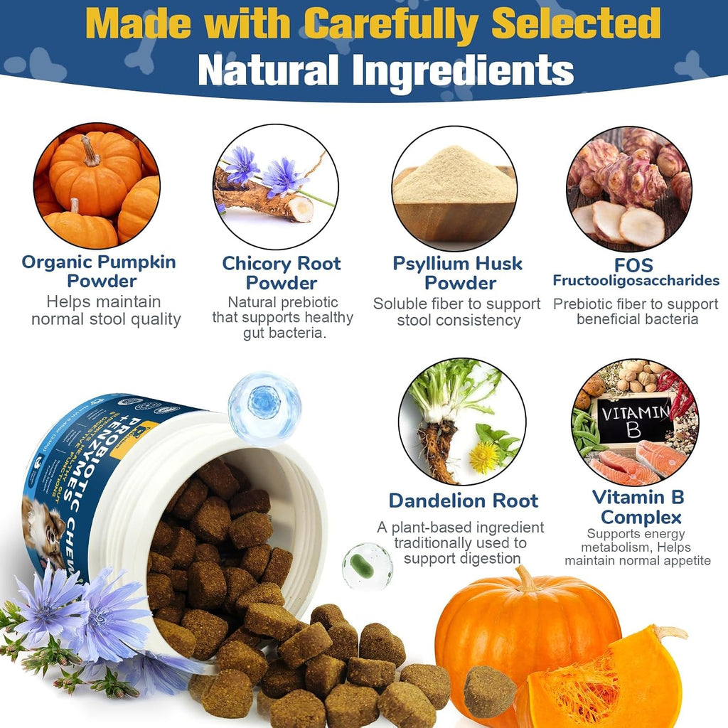 Planopaws digestive enzymes and prebiotics for dogs premium jar packaging overview.
