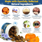 Planopaws digestive enzymes and prebiotics for dogs premium jar packaging overview.