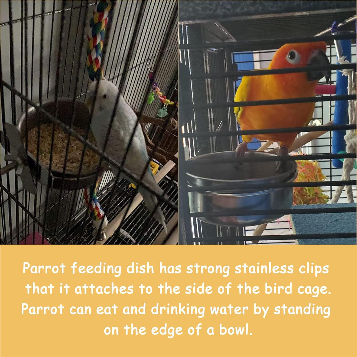 Stainless steel coop cups showing durable metal construction