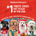 Stella and Chewy's grass-fed beef dog food topper close up of freeze-dried raw chunks