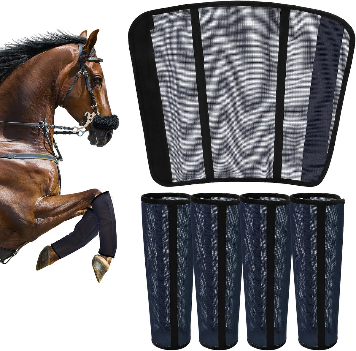 TAILNERY fly boots for horses front view on a horse's lower legs