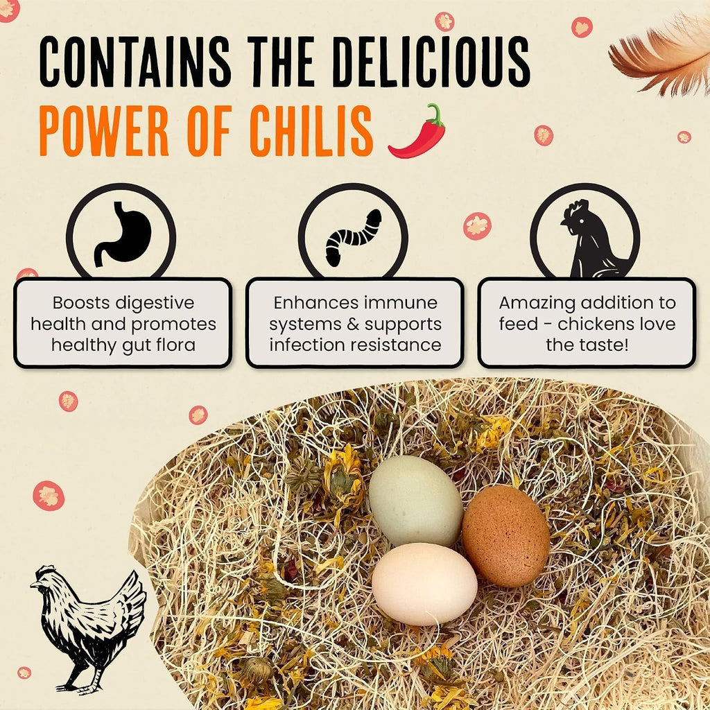 Roosty's Chicken Nesting Herbs Chili Mix, Coop Refresher, 16oz - Image 3
