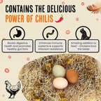 Roosty's Chicken Nesting Herbs Chili Mix, Coop Refresher, 16oz - Image 3