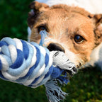TwoEar interactive puppy tug of war dog toys for boredom relief laid out on a clean surface
