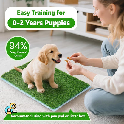 Two pack dog potty grass replacement mats