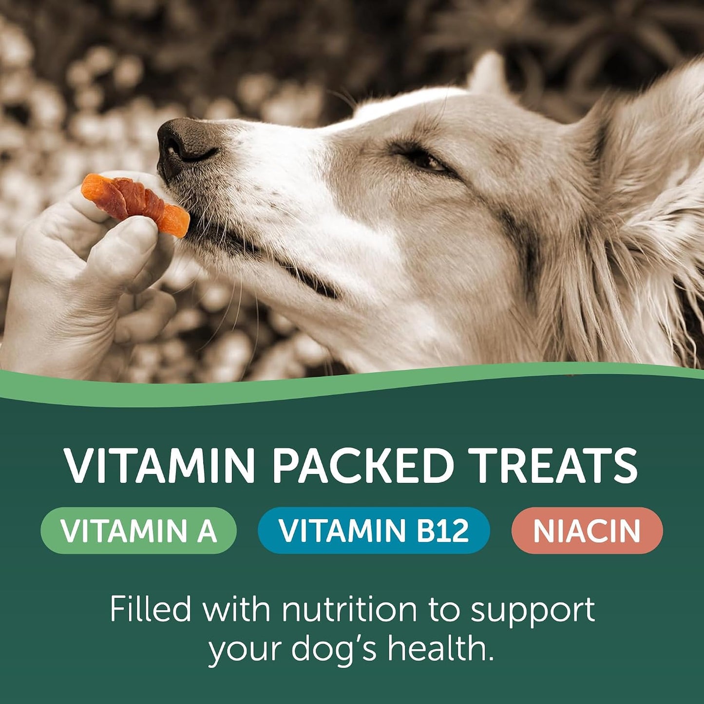 Dog enjoying a healthy Healthfuls chicken and sweet potato treat