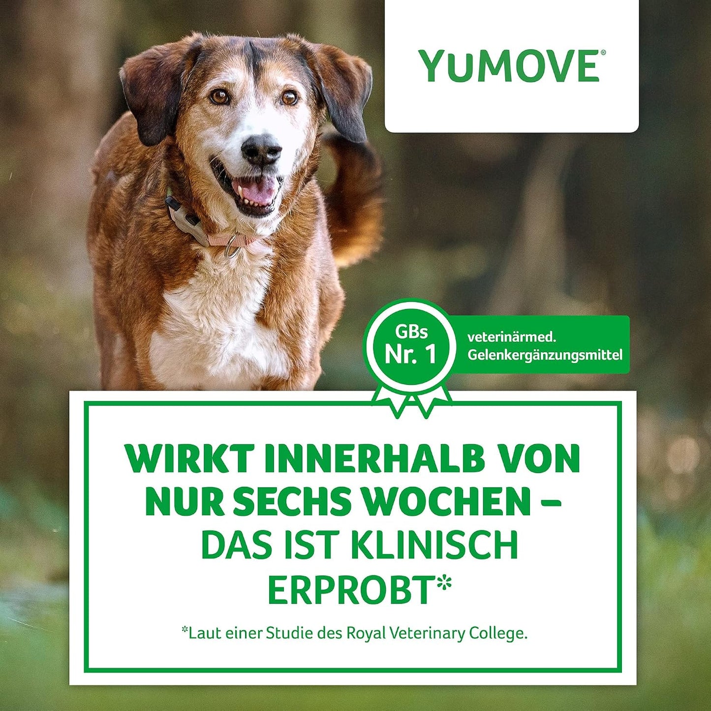 YuMOVE senior dog chewable tablets for joint stiffness relief