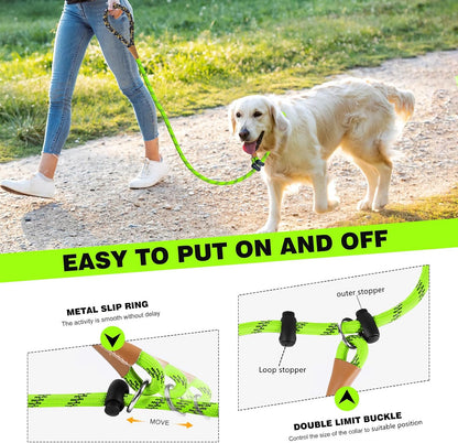 Lynxking light green pet leash showcasing the integrated reflective threads glowing under low light conditions.