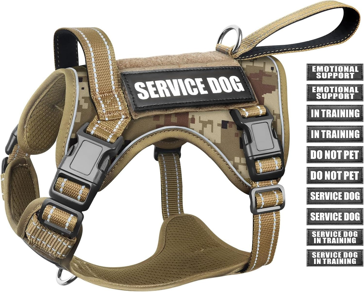 WINSEE Tactical Dog Harness front view shown on a medium size dog for training.
