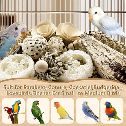 LOPERDEVE avian boredom buster toy kit containing diverse organic textures for pecking.