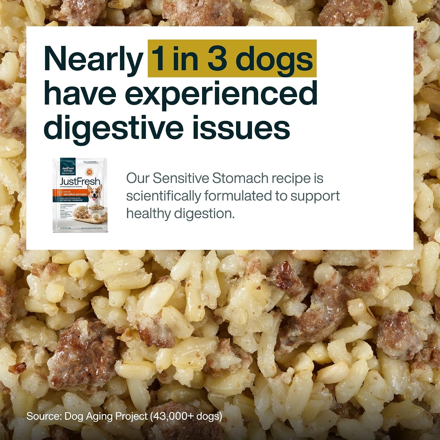 Pantry fresh veterinary formulated wet dog food for sensitive stomachs product label