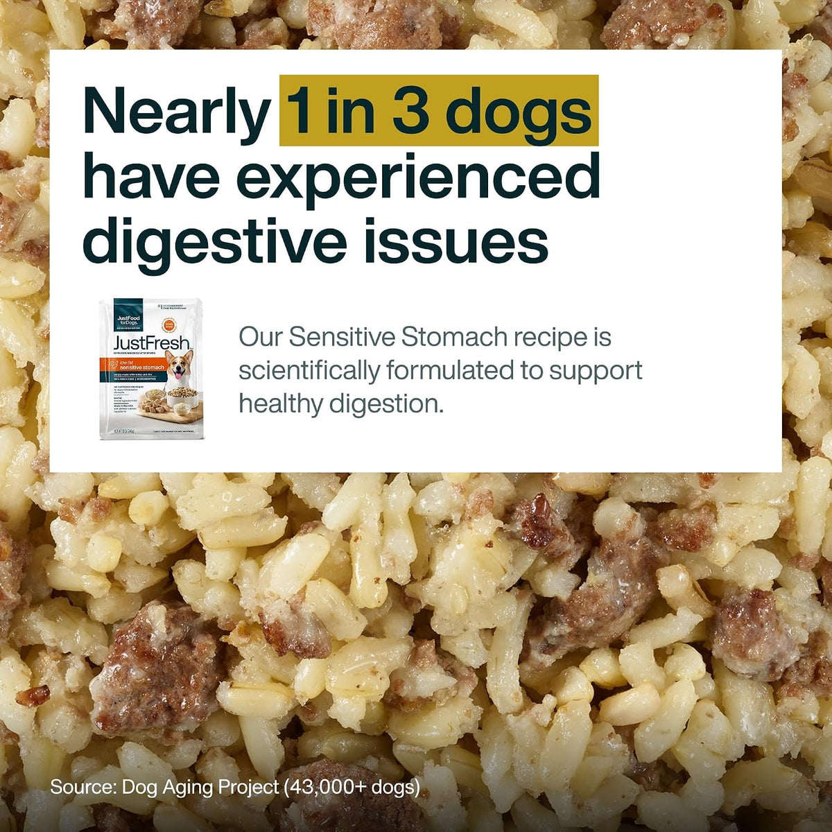 Pantry fresh veterinary formulated wet dog food for sensitive stomachs product label
