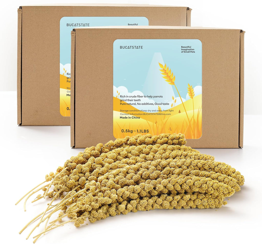 Fresh GMO-free millet treats for small birds