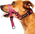 ZEVEY adjustable dog head halter pink front view showing padded nose loop