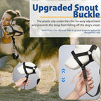 Dog walking halter package showing correct neck measurement