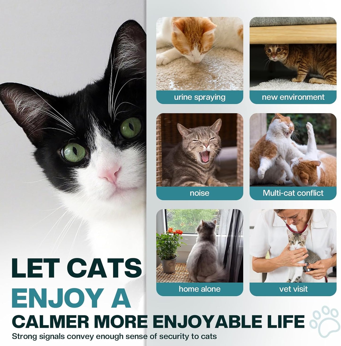 Cat calming plug-in device showing the rotating socket design