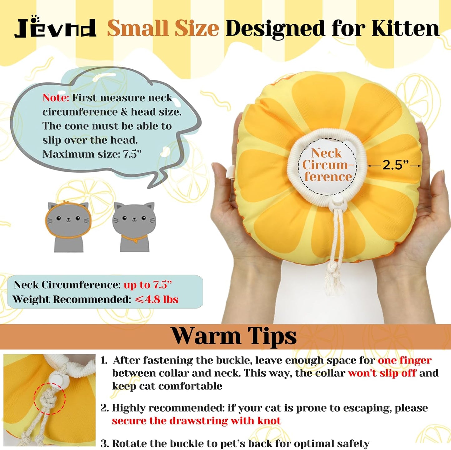 Jevnd adjustable soft cat recovery collar being fitted on a kitten