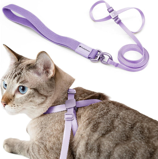 BuddyArmor 2-in-1 escape proof cat harness in purple front view on a pet.