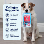 Twelve count box of Solid Gold beef broth for dogs