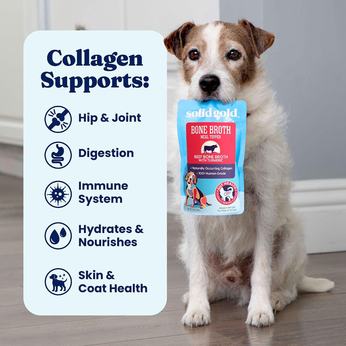 Twelve count box of Solid Gold beef broth for dogs