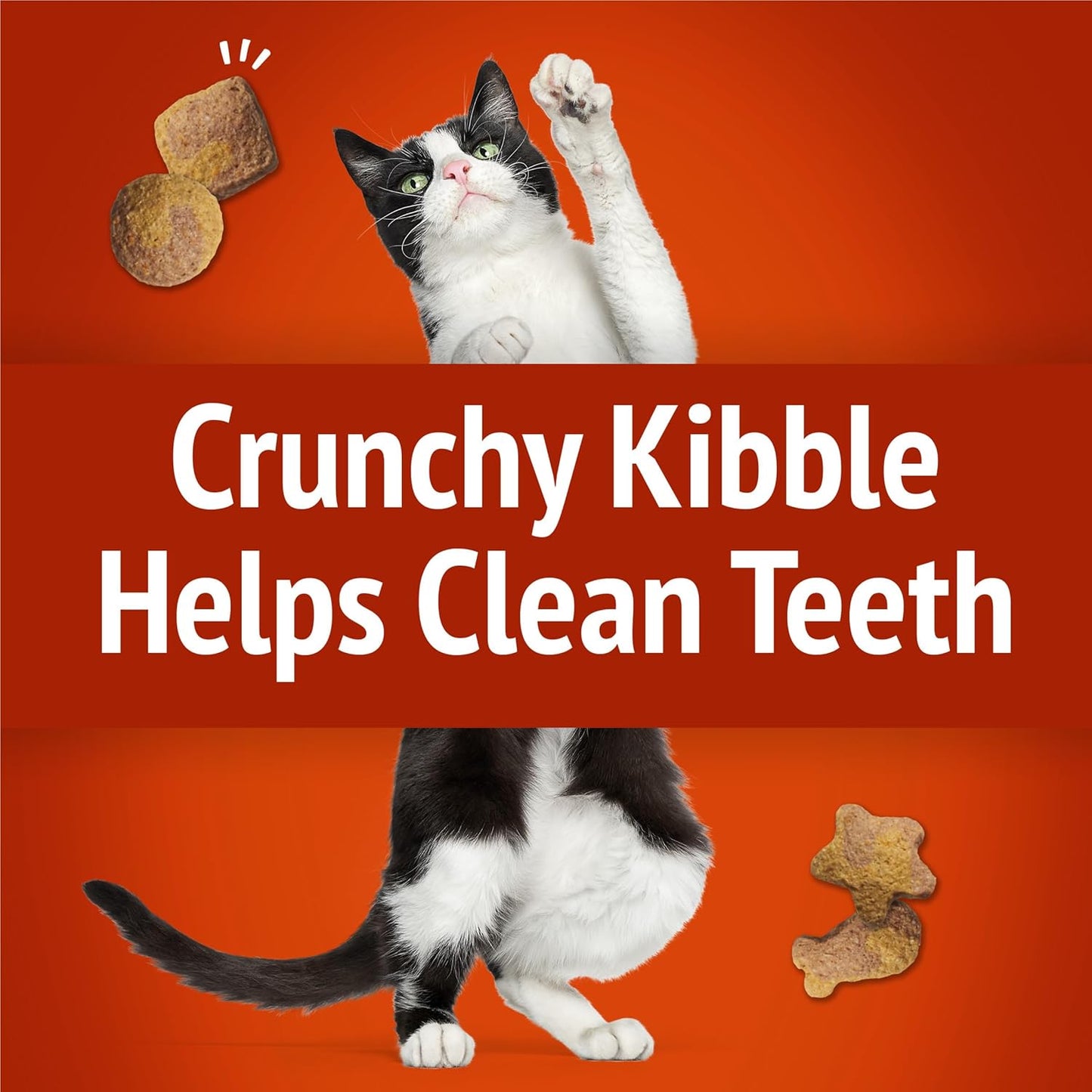 Large plastic storage canister of chicken flavor crunchy cat treats.