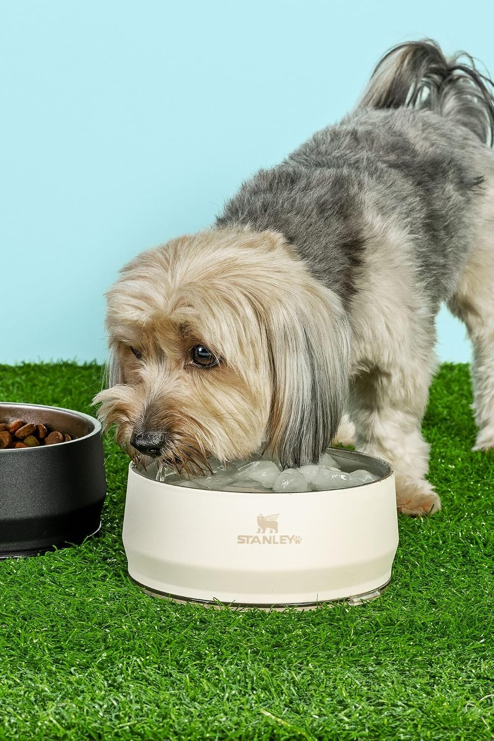 Stackable recycled stainless steel pet water dish lifestyle view.