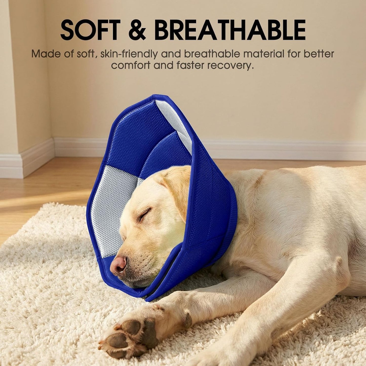 Premium imported dog recovery collar for wound care management