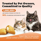 Authentic USA imported Buddycheer cat vitamin treats package displayed on a clean background.