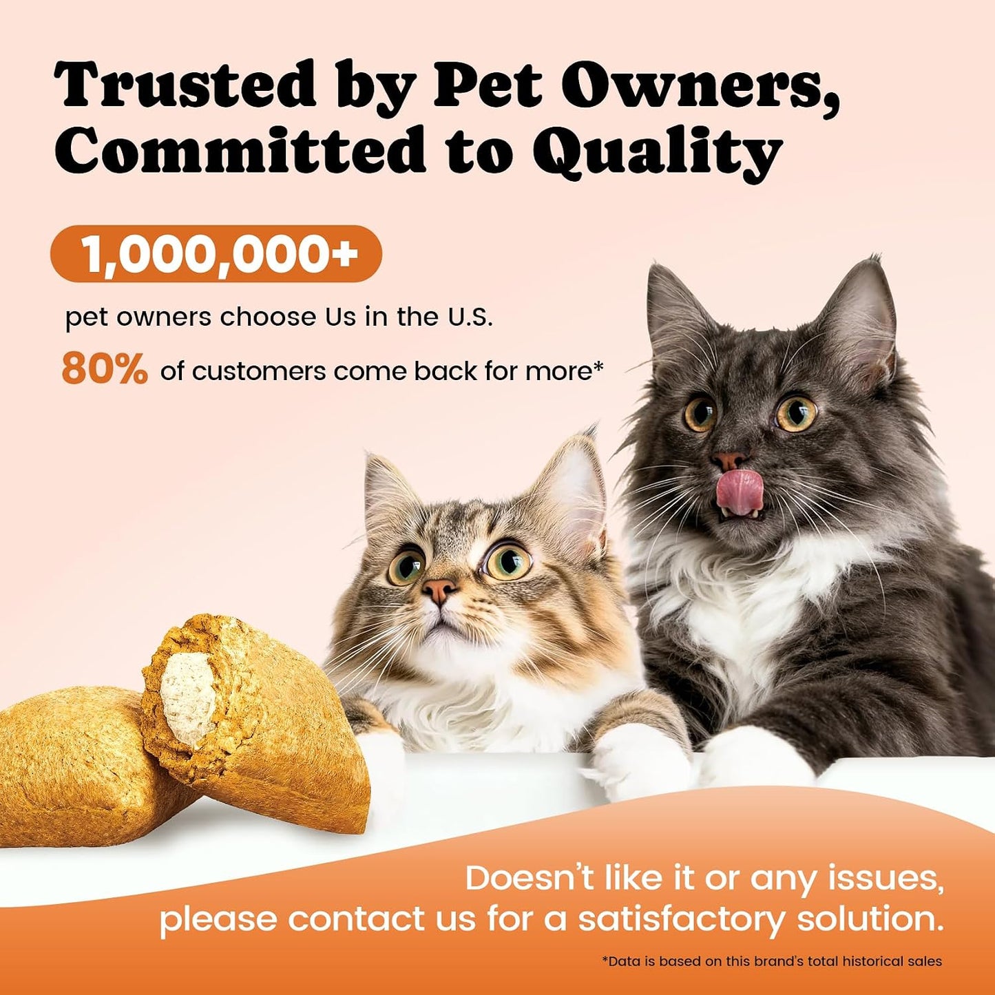 Authentic USA imported Buddycheer cat vitamin treats package displayed on a clean background.