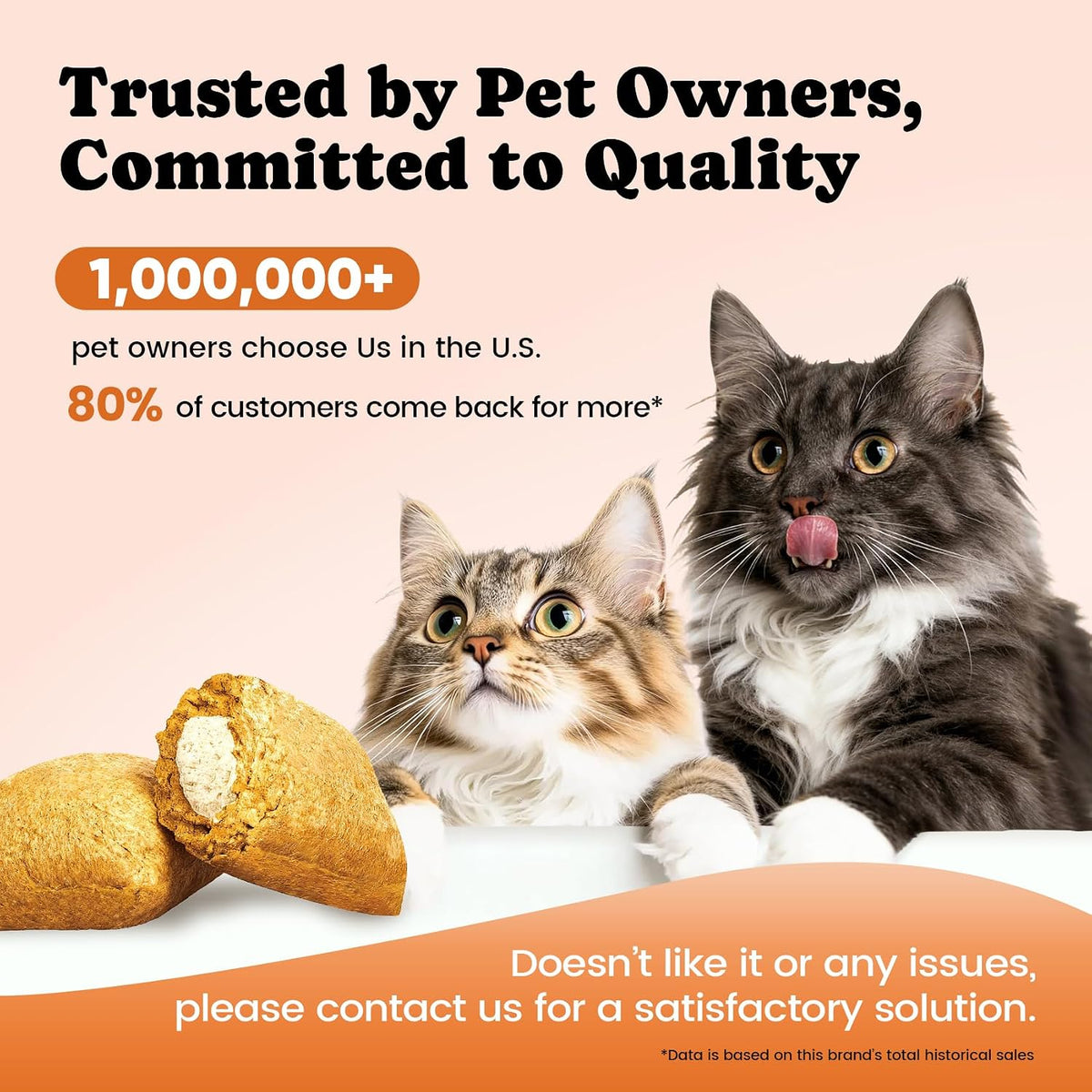 Authentic USA imported Buddycheer cat vitamin treats package displayed on a clean background.