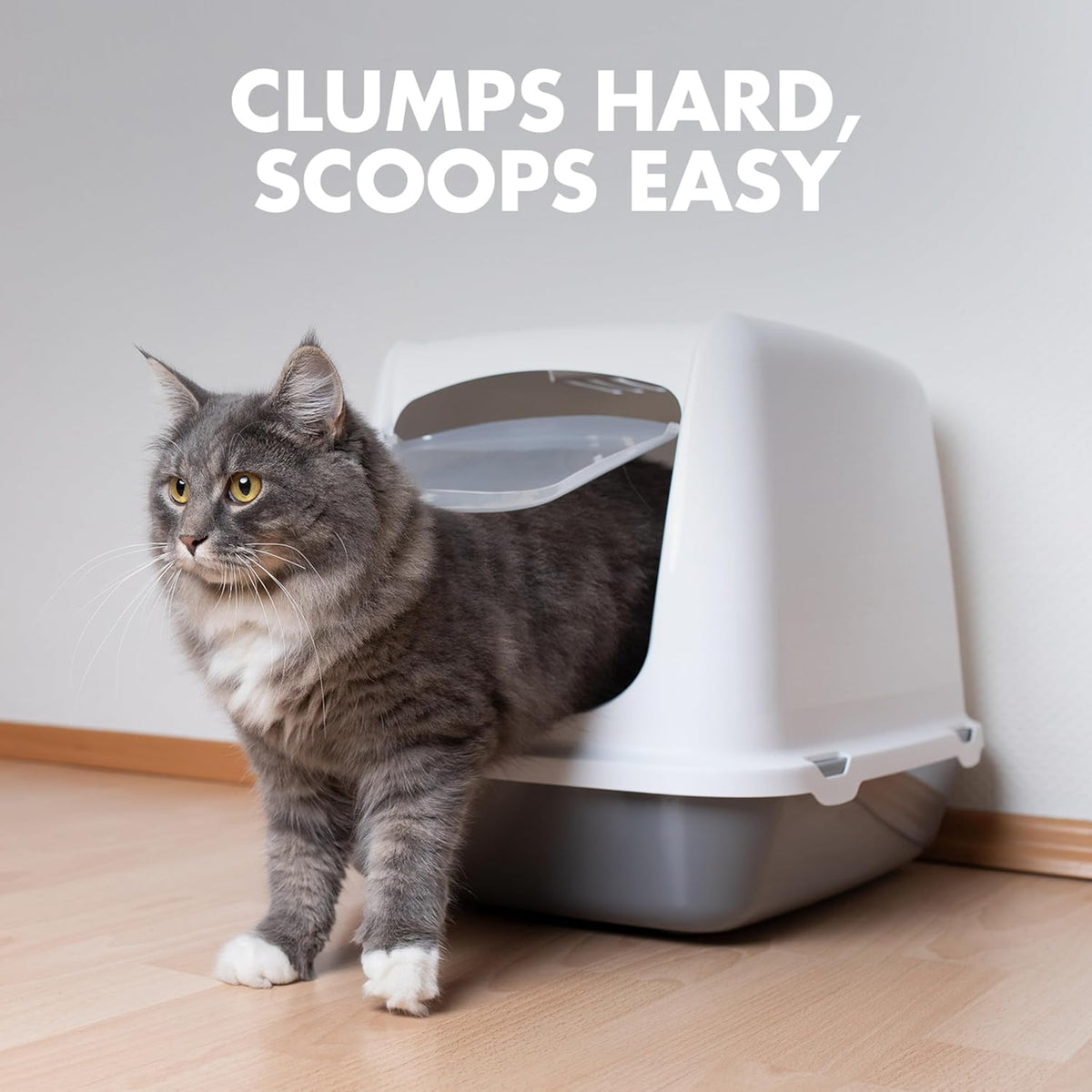ARM & HAMMER Naturals Clumping Cat , Litter Odor Control, Multi Cat Litter, 18 lb. Bag - Image 9