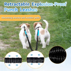Leosasa blue double dog walking rope demonstrating the rust-proof galvanized zinc alloy locking clips.