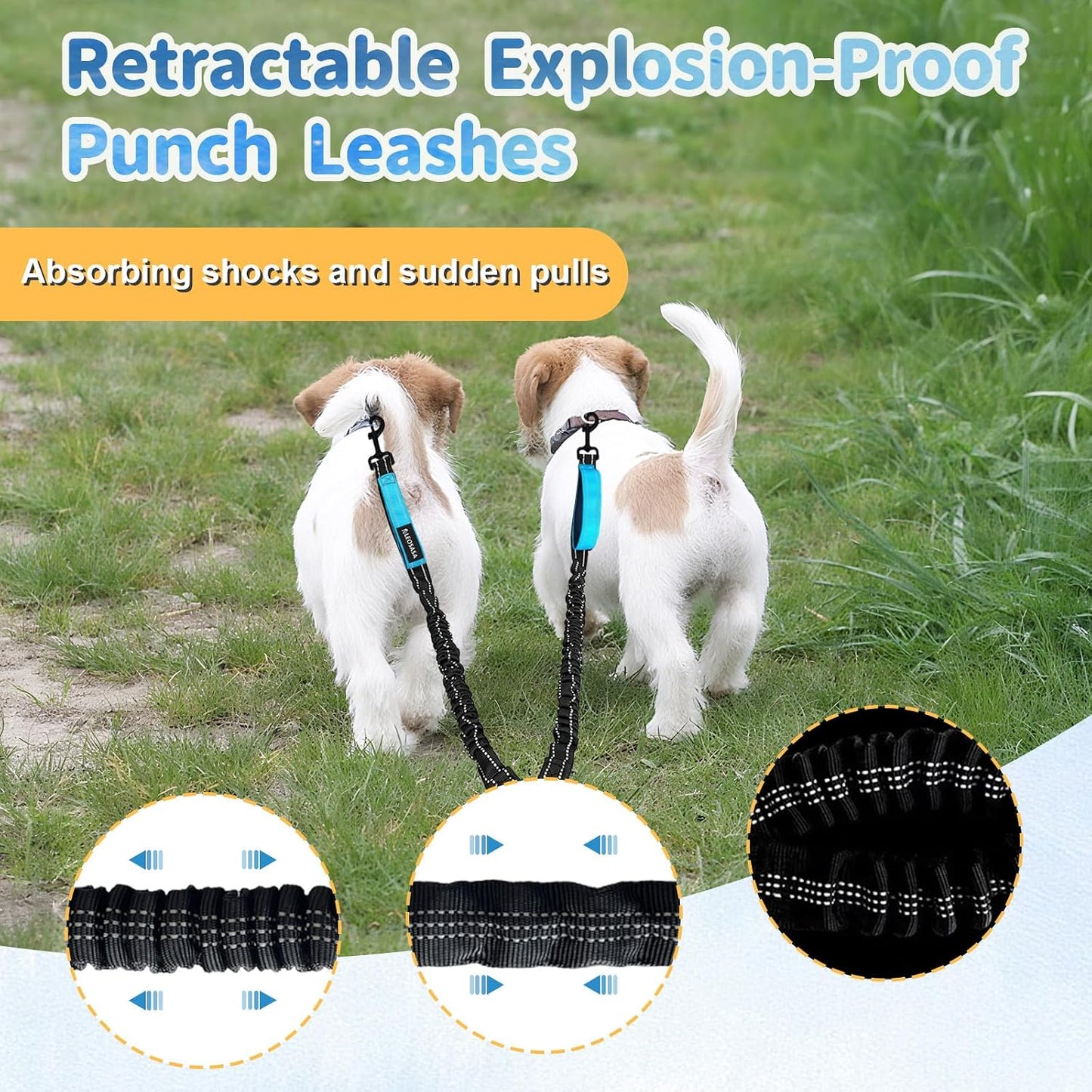 Leosasa blue double dog walking rope demonstrating the rust-proof galvanized zinc alloy locking clips.