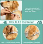 Flea and Tick Collar for Dogs, 6 Pack Natural Flea and Tick Prevention for Dogs in a Waterproof Design with Natural Essential Oils, Adjustable Multi-Pest Repellent Collar for All Dog Sizes - Image 9