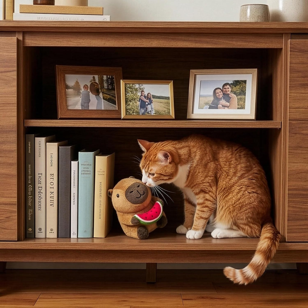 SPOT imported pet toy with watermelon theme decoration for all cat breeds