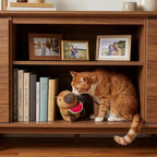 SPOT imported pet toy with watermelon theme decoration for all cat breeds