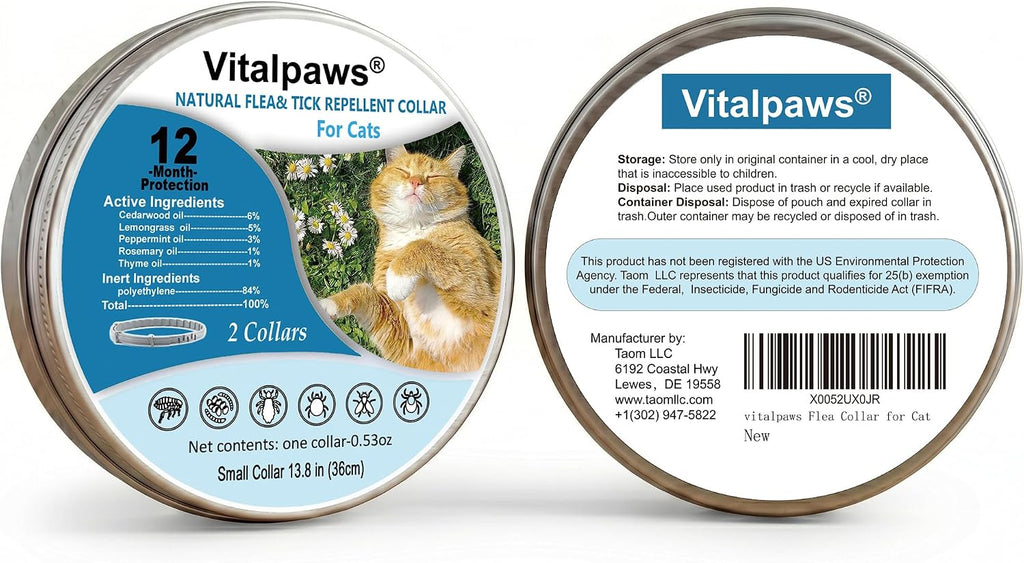Ginger cat wearing Vivaelixir natural flea collar
