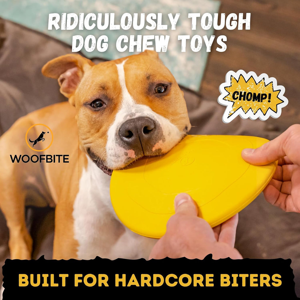 Yellow heavy duty rubber dog frisbee for fetch