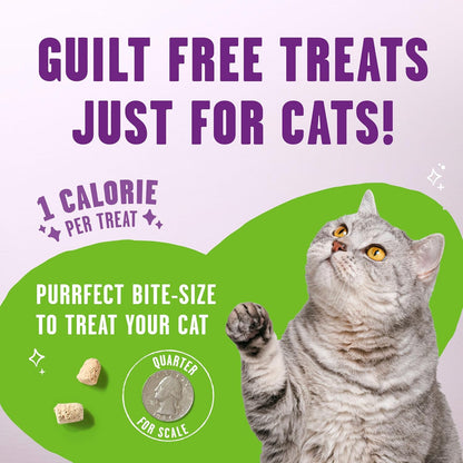 Stella and Chewy's grain free raw pet treats package for all life stages