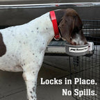 Spill resistant kennel water bowl hanging securely on wire crate bars
