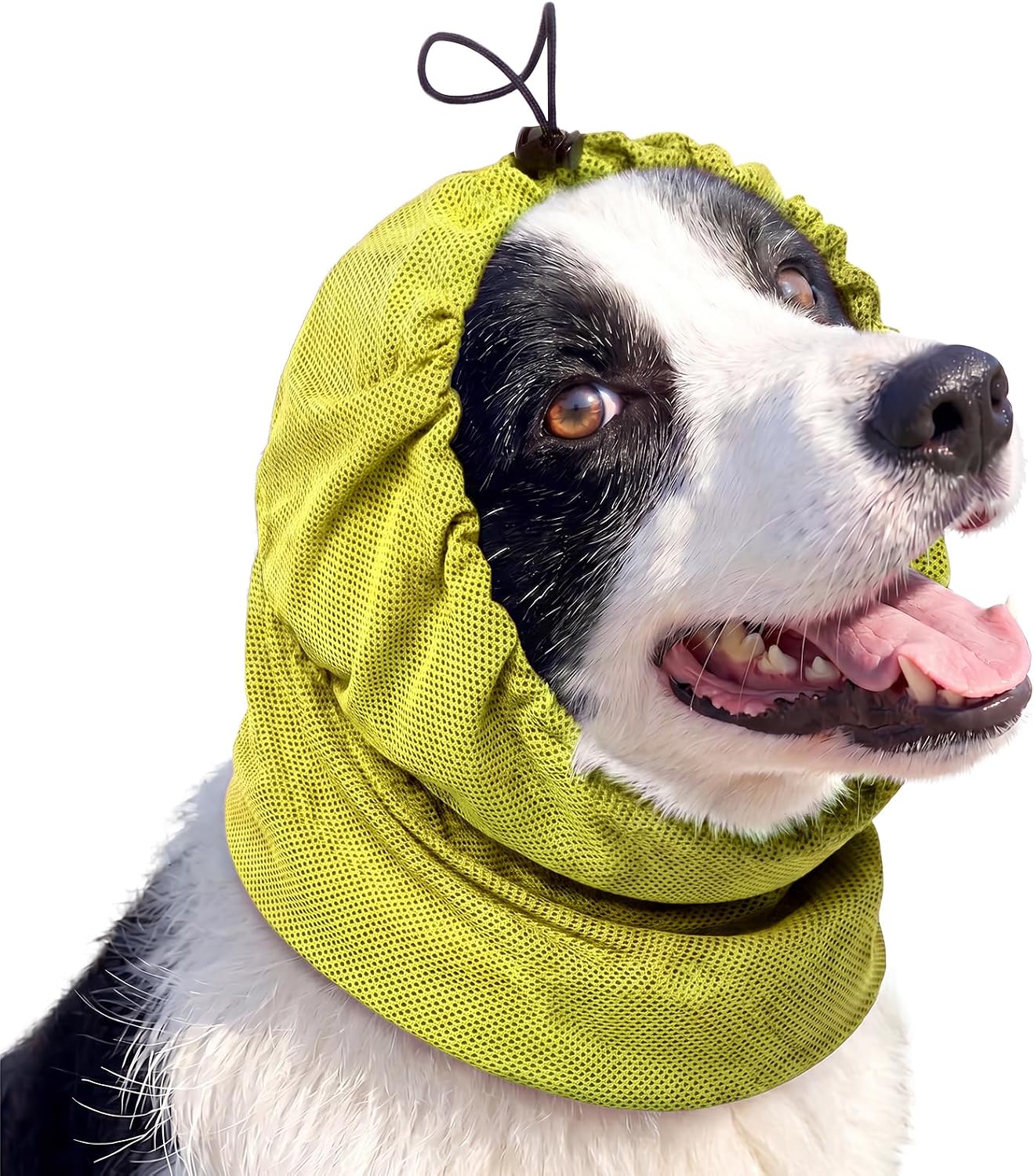 ROZKITCH Grass Seed Ear Protector Dog Neck Wrap Grey S | Breathable Mesh, Adjustable Drawstring, Stretchy, Lightweight, Quick Dry, Stop Grass Seeds - Image 10