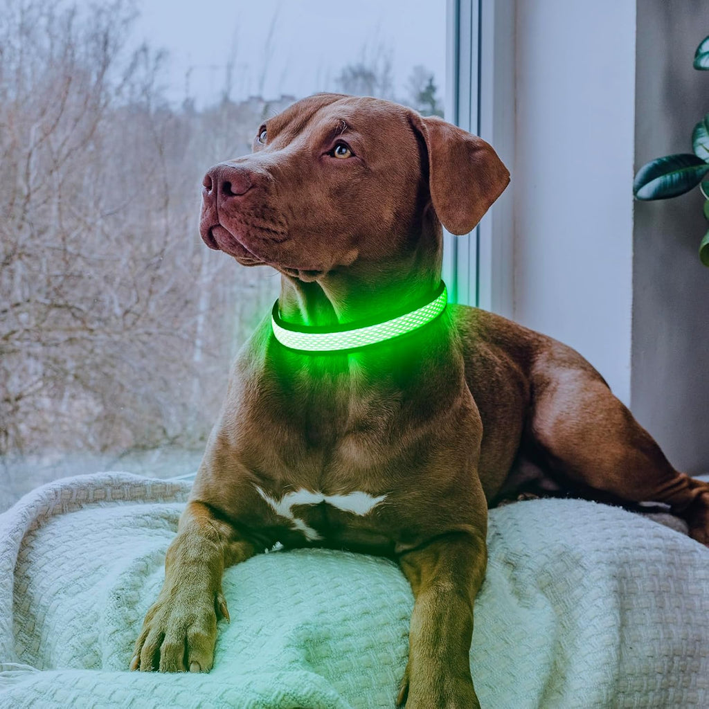Flashseen light up dog collar glowing in dark