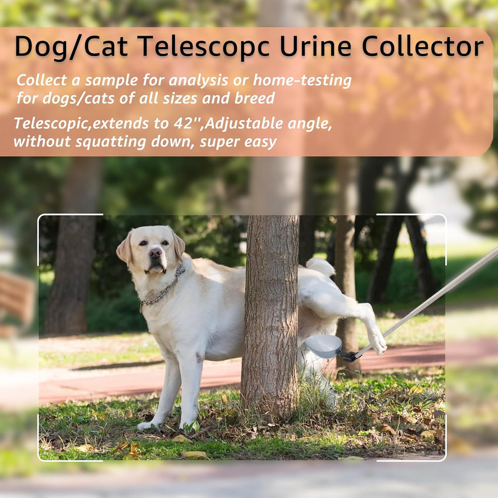 Telescopic urine sample catcher pole extended to maximum length for non-invasive pet pee collection.